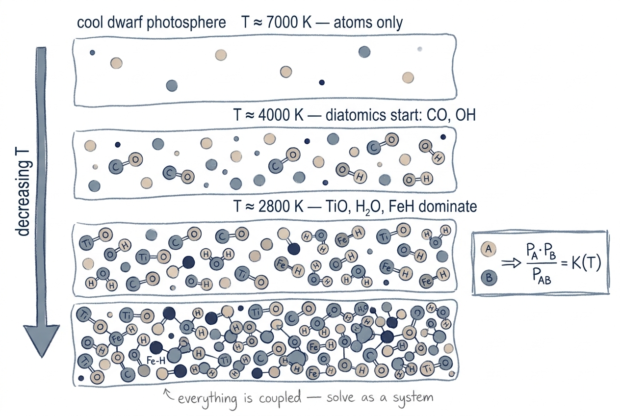 Cartoon: molecules increase as temperature decreases through a cool-dwarf photosphere